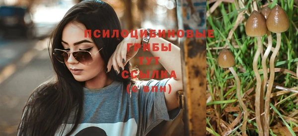 таблы Аша