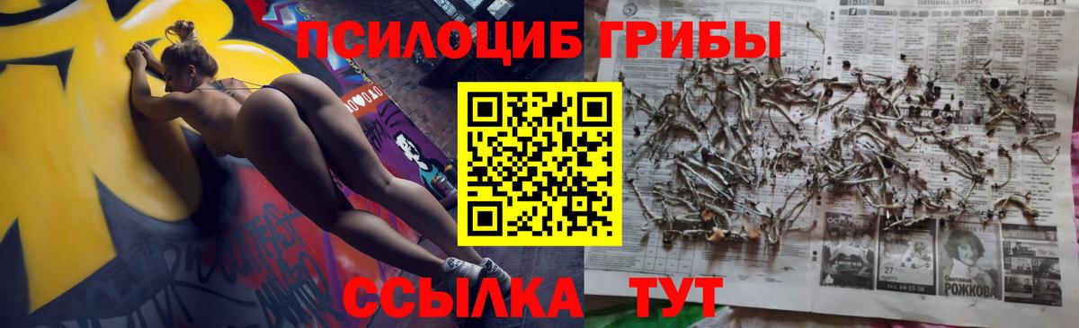 Галлюциногенные грибы мухоморы  Вход с VPN  Псилоцибиновые грибы мицелий  Киржач 