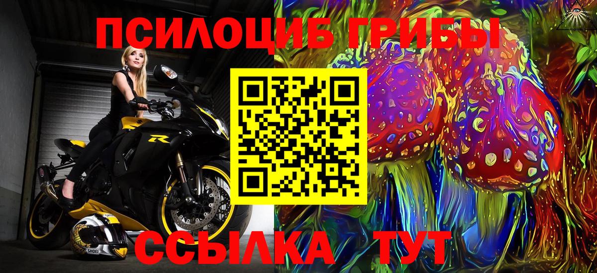 Галлюциногенные грибы Cubensis Киржач